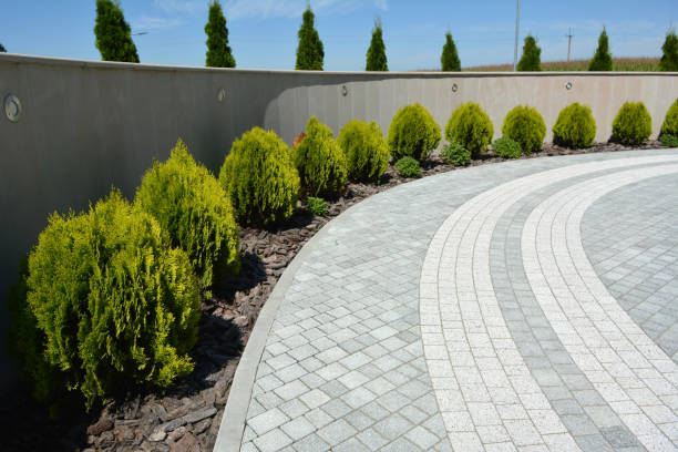 Reasons to Select Us for Your Driveway Paving Requirements in Kenilworth, PA